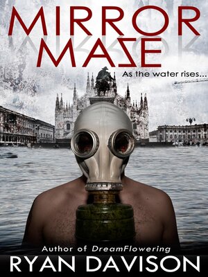cover image of Mirror Maze